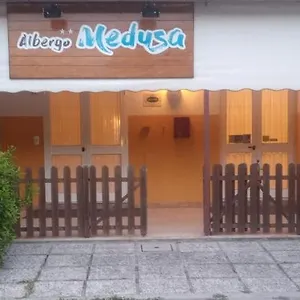 Medusa Punta Marina